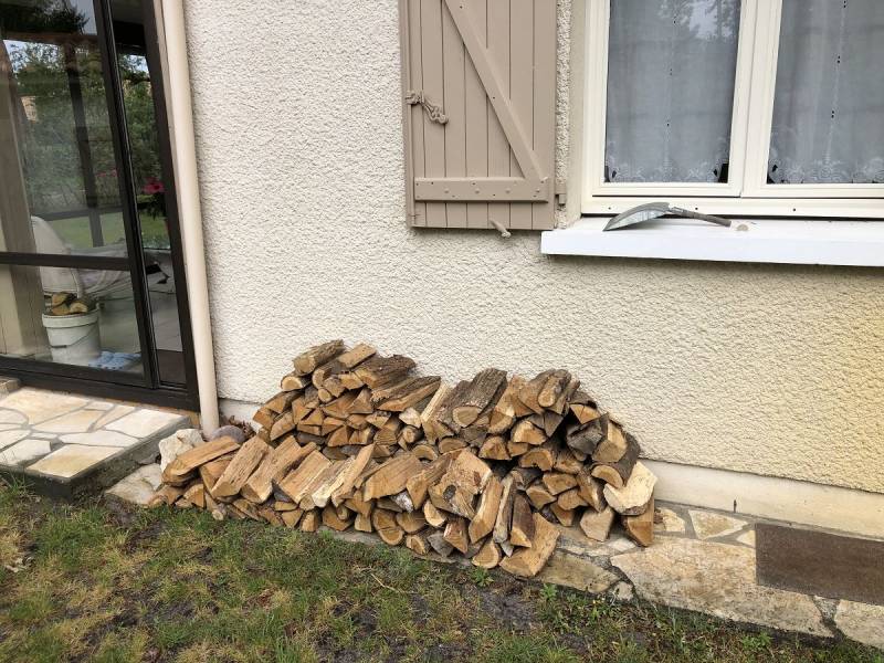 termites dans le bois de chauffage